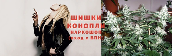 spice Новозыбков