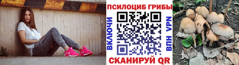 OMG   Солнечногорск  Галлюциногенные грибы прущие грибы 